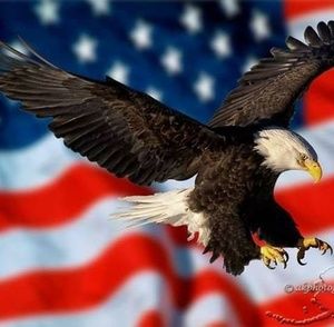 Meet your Posher, Irene